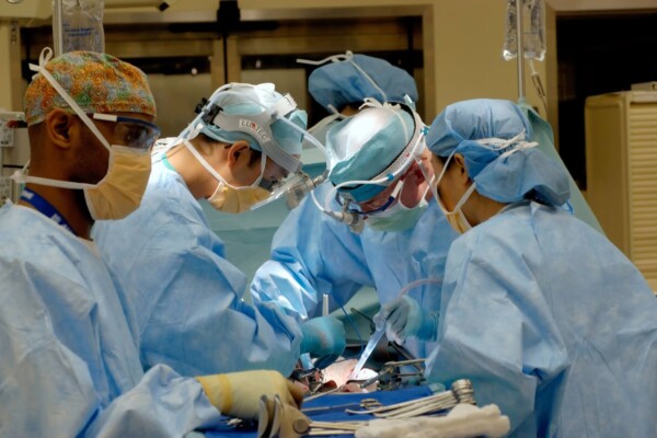 biodegradable gowns may be worse for the environment