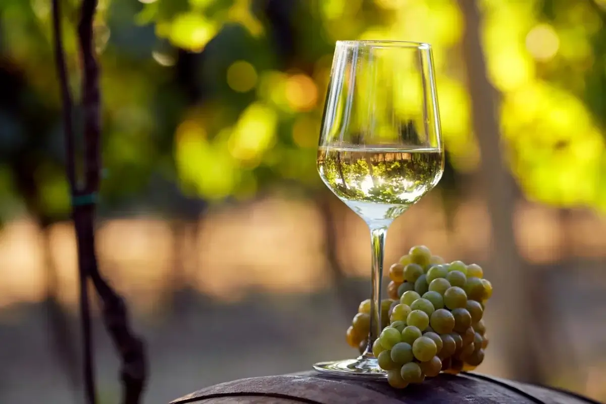 white wine