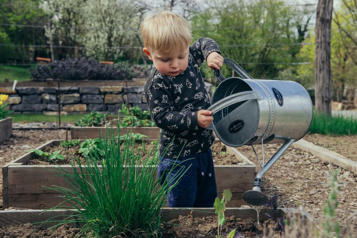Little boy watering plants in the garden