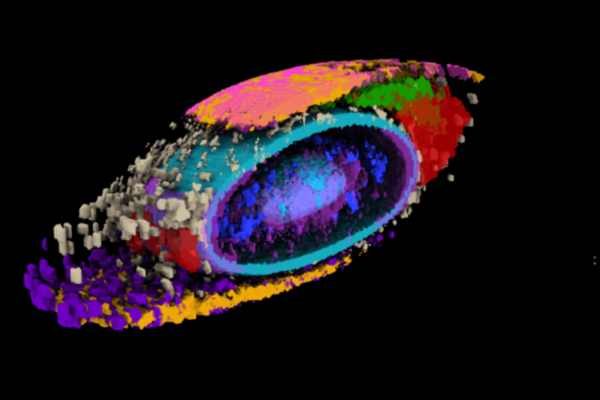 Image showing the average location of 17 different internal structures inside a human cell