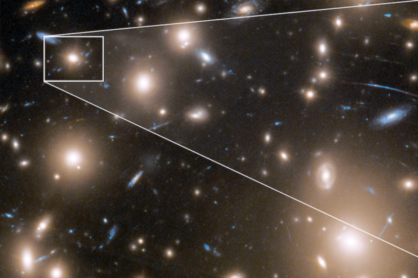 Supernova in galaxy cluster