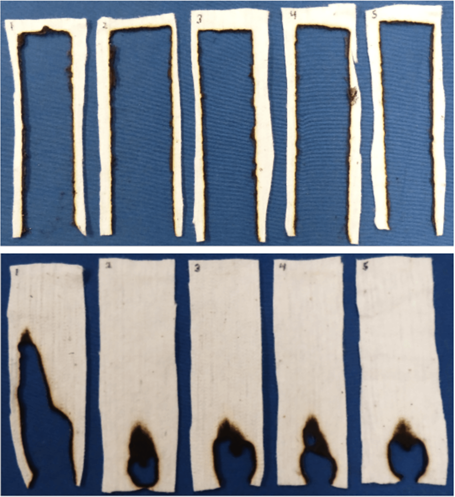 Images of normal cotton material after being burned versus a new variety that does not burn.