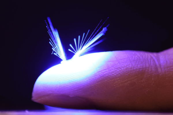 A fairy-like robot sits on a person's fingertip