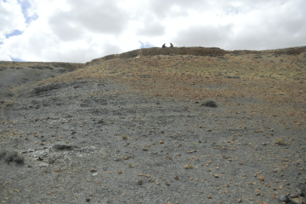 2 researchers dig for pollen fossils in a dusty field