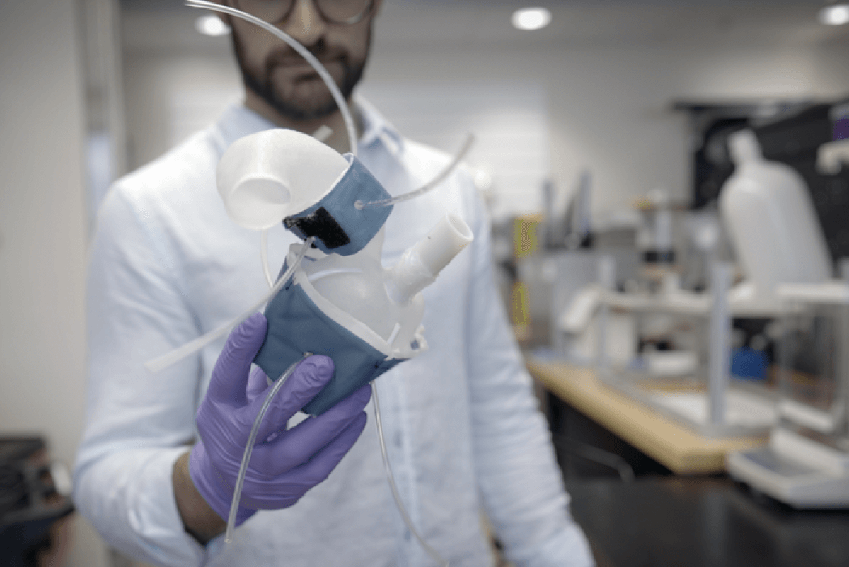 Scientists hold a 3d printed heart