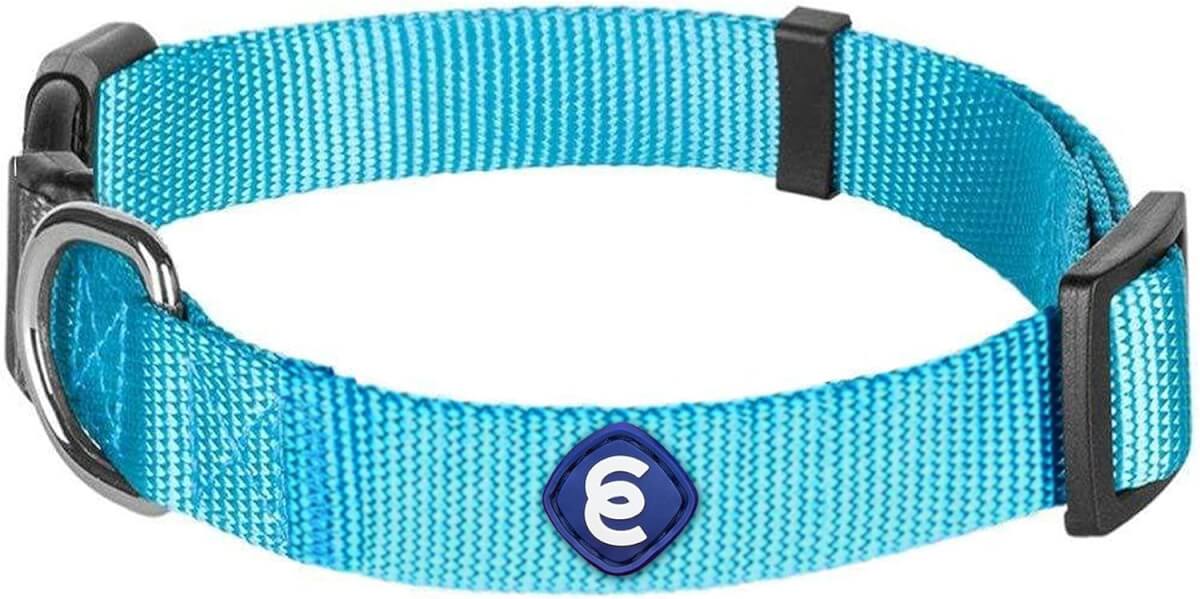 Blueberry Pet Classic Nylon Dog Collar