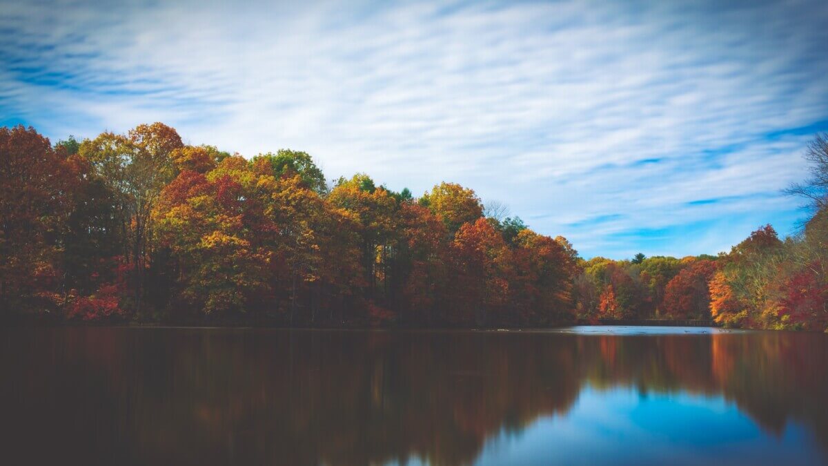 Fall foliage in Princeton