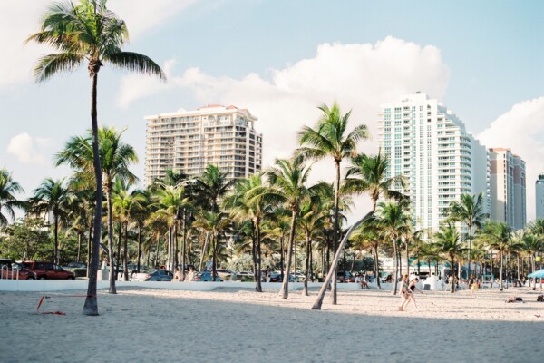 Miami, Florida buildings hidden behind palm trees.