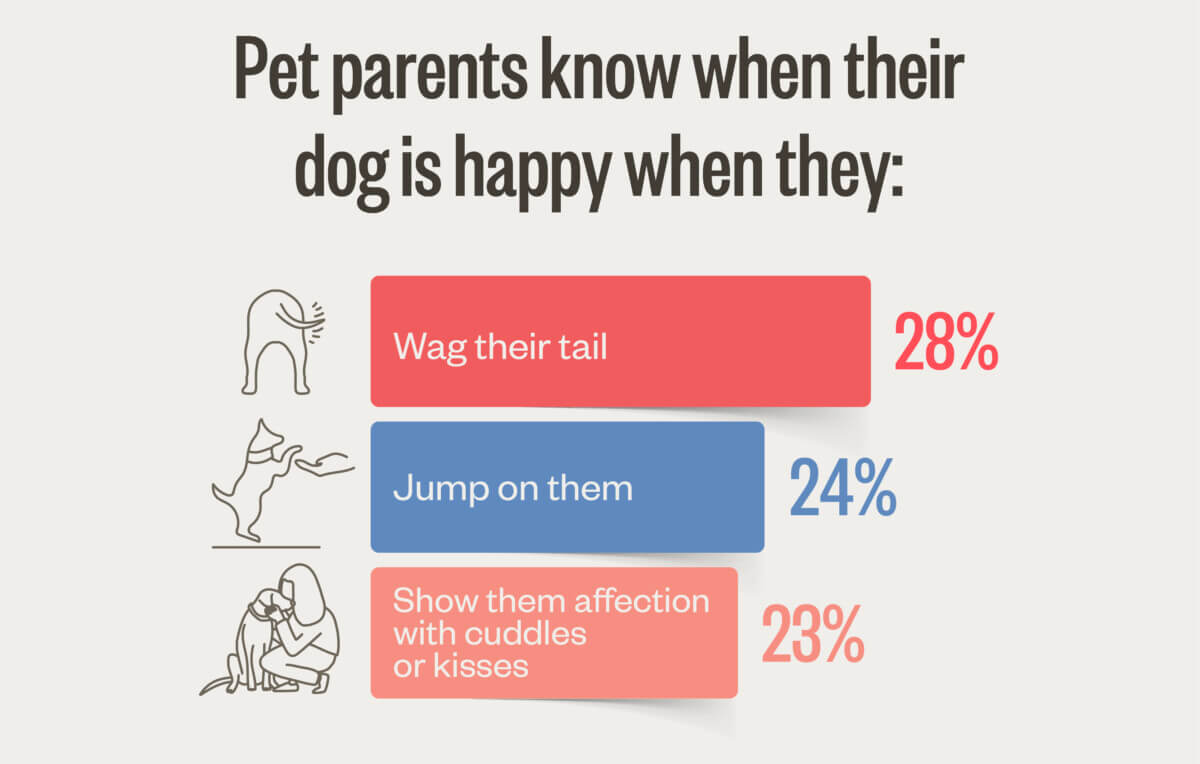 dog happiness