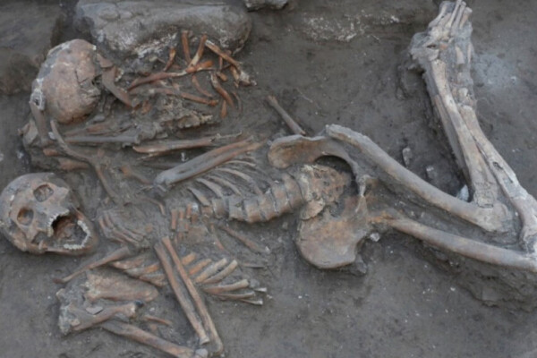 2 skeletons in an ancient tomb