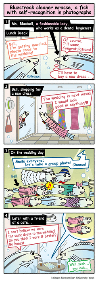 cleaner fish comic strip