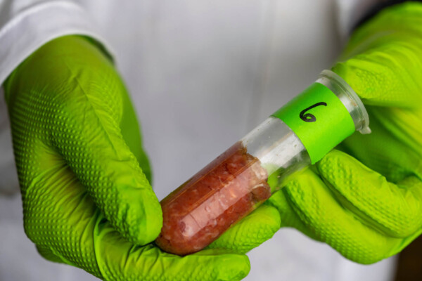 scientist holds a tube of cured meat