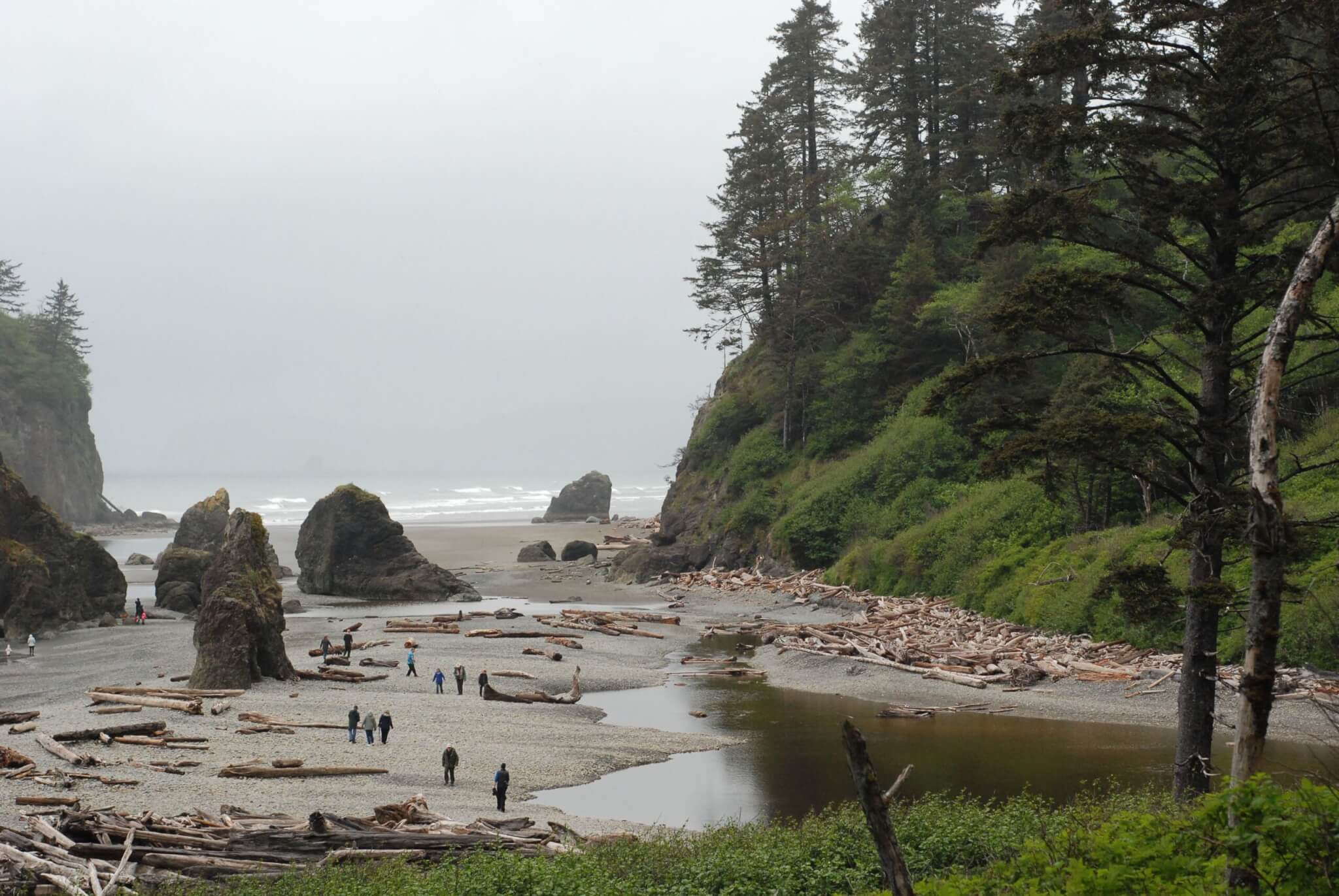 beach in Olympia, Washington