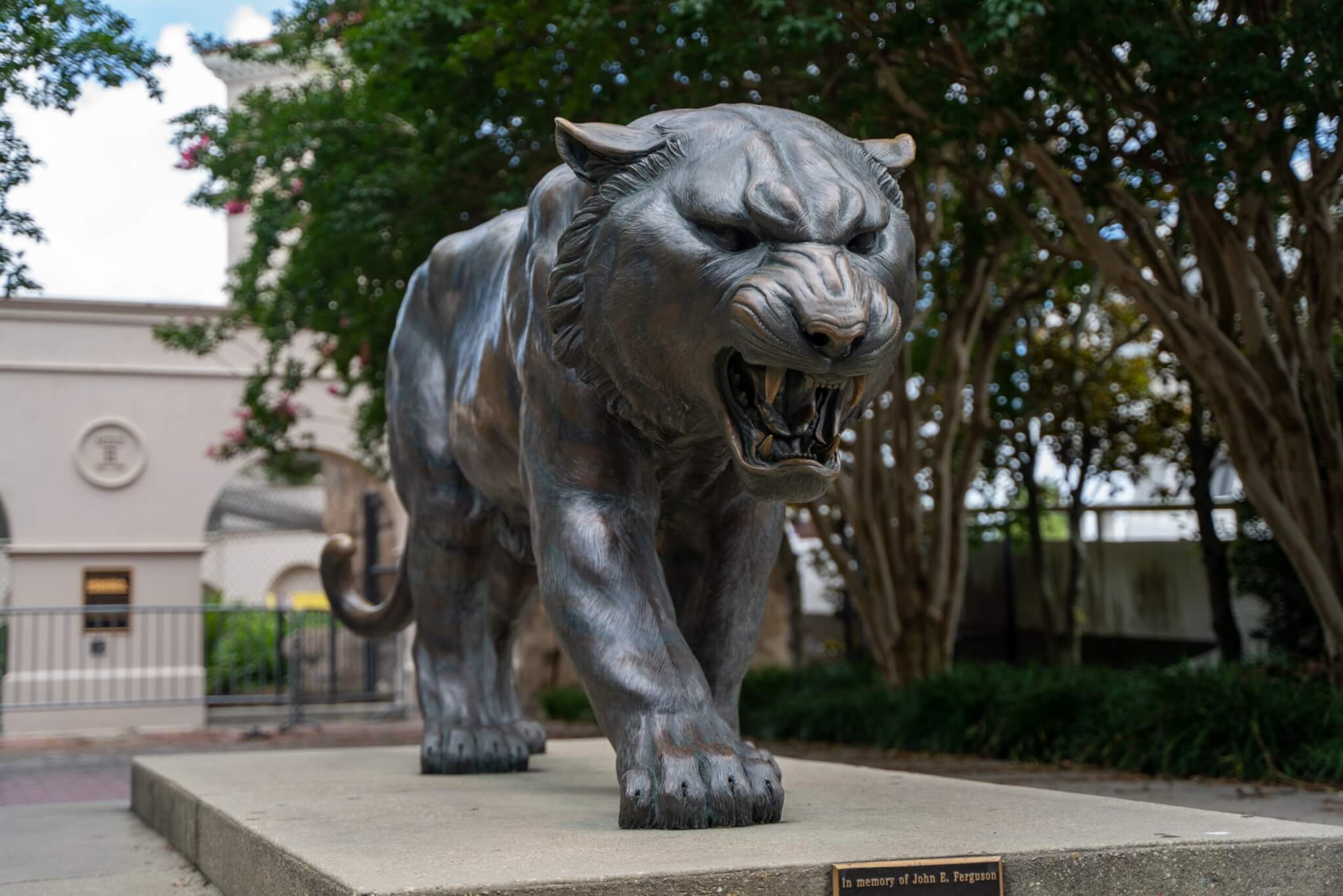tiger statue
