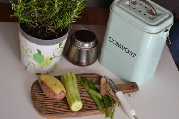 Compost bin and vegetables on a countger, best compost bins