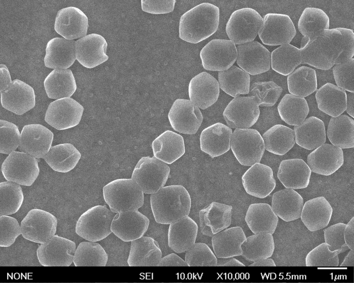 Closeup of lithium metal crystals