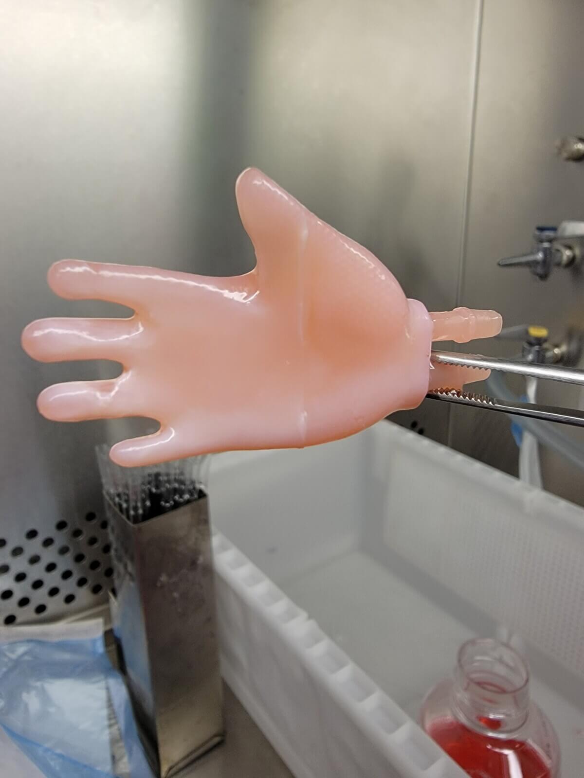 Growing human skin in the lab in the form of a hand