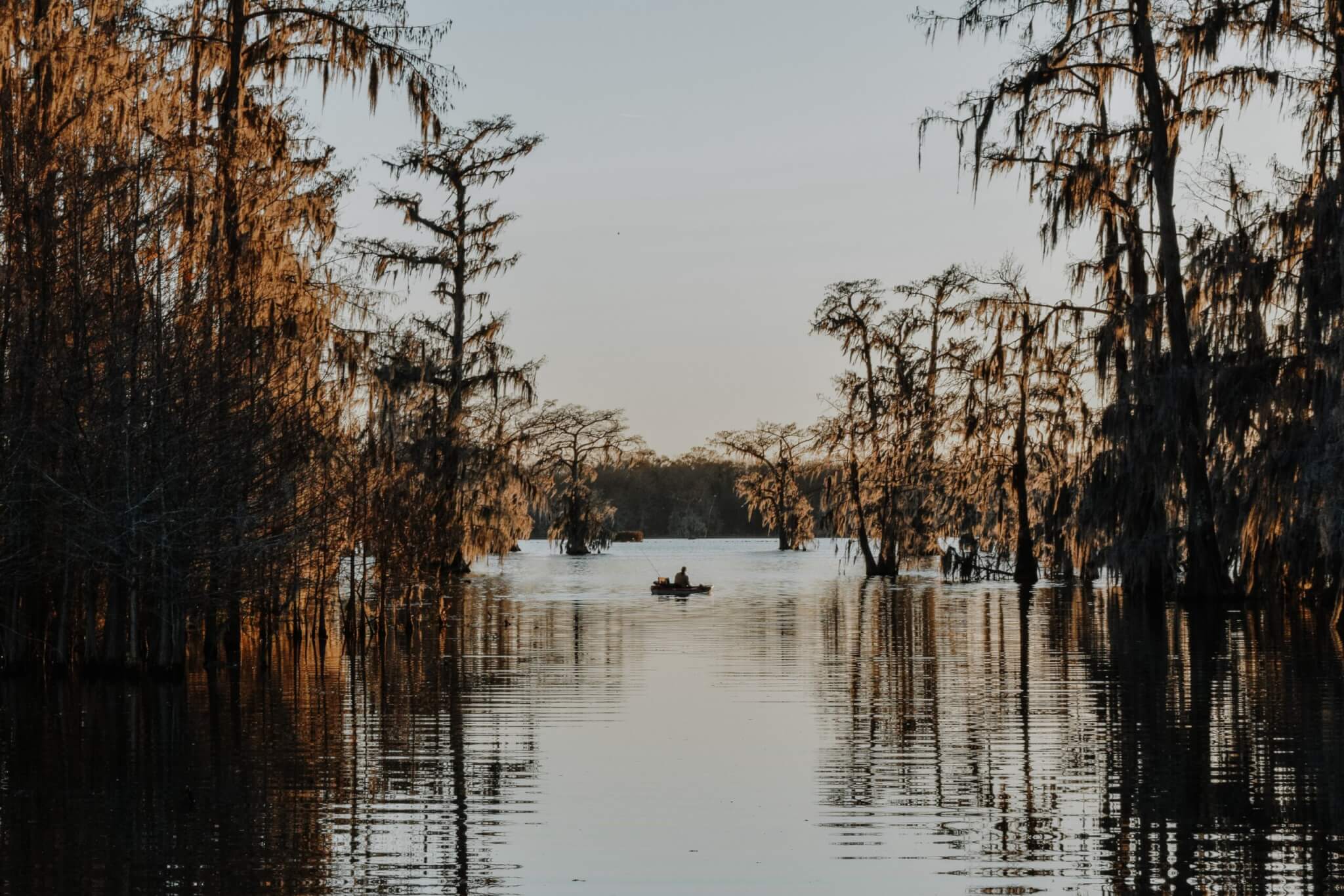 boat in a marsh