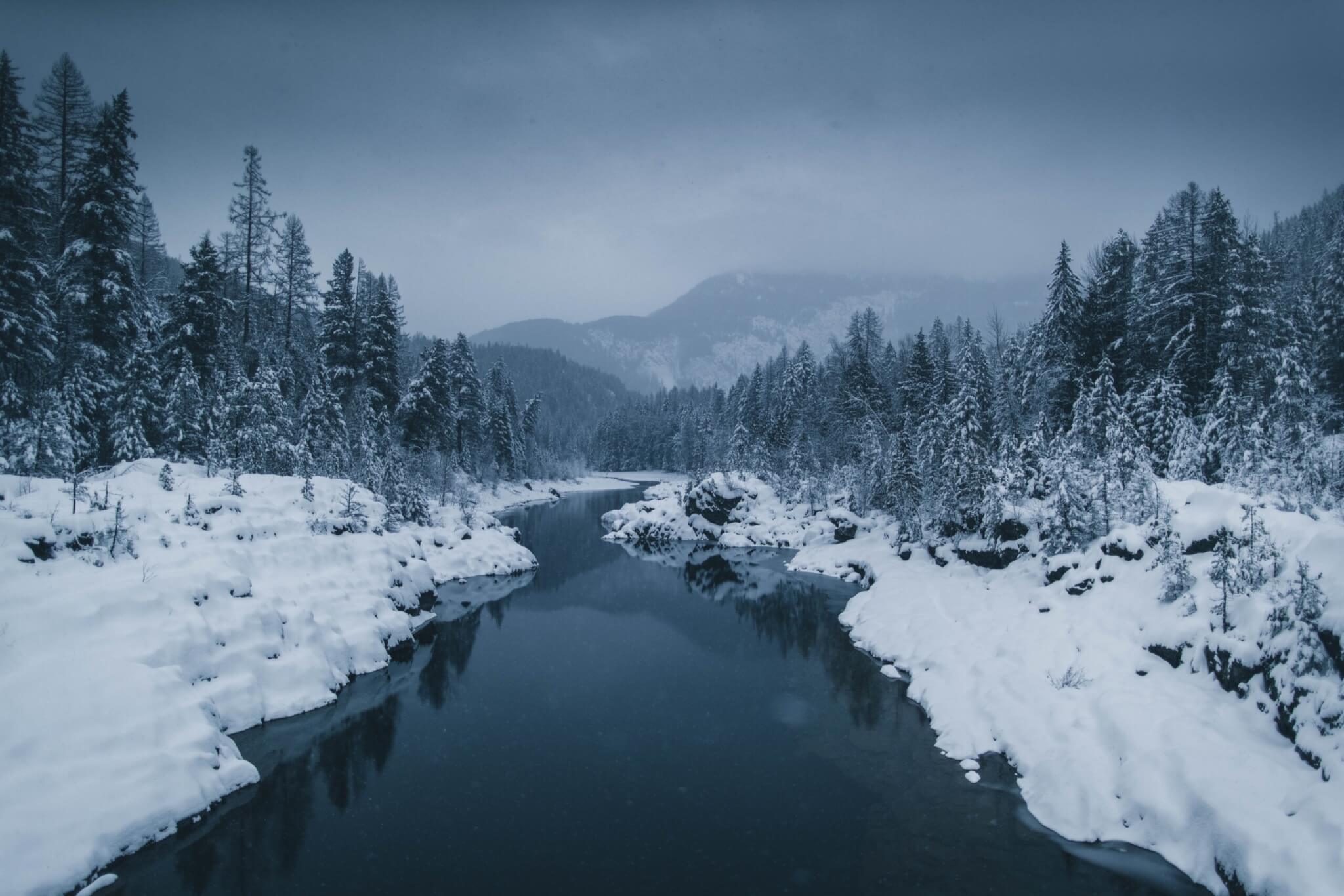 snowy trees and lake and mountains
