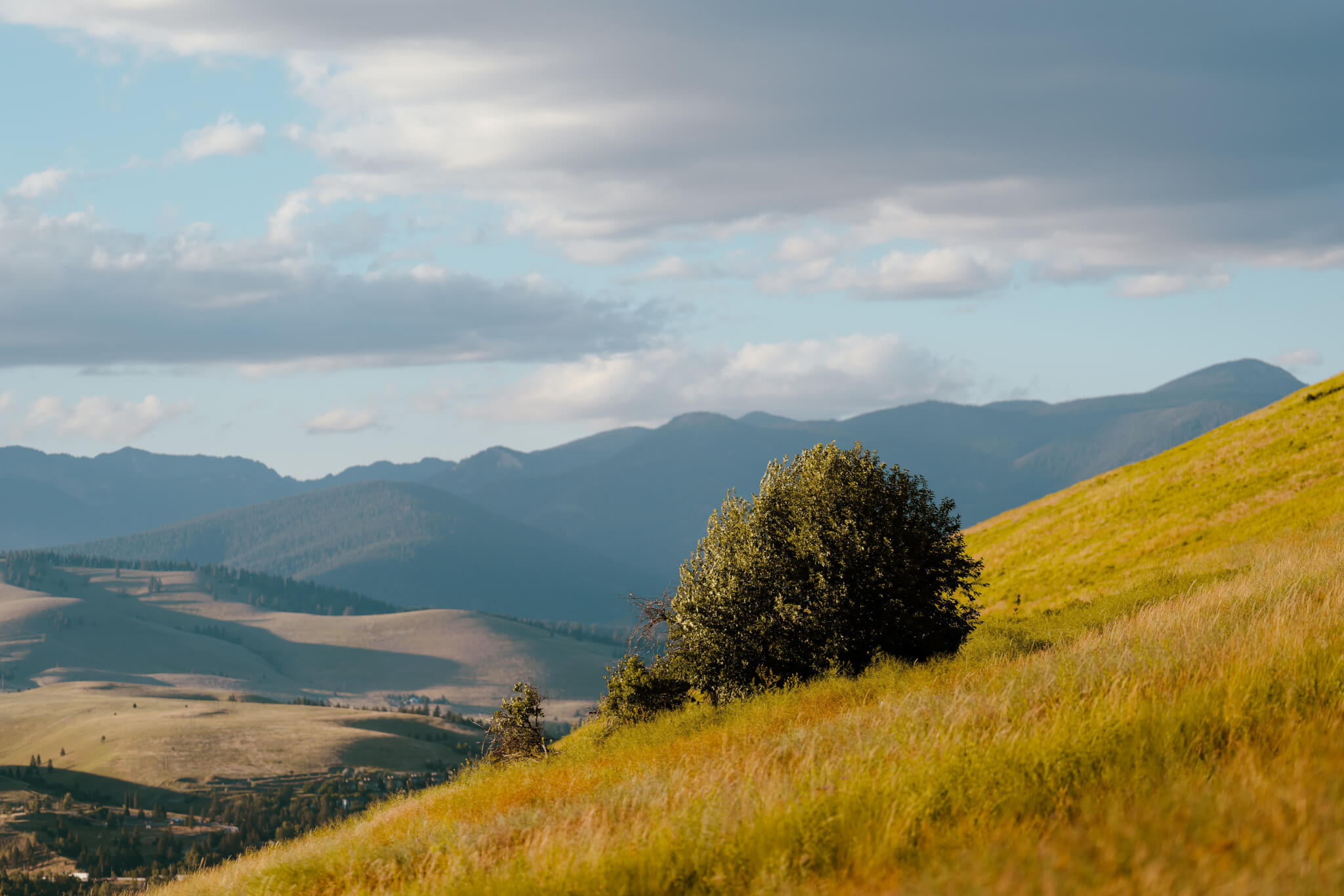 a field and mountains in Missoula Montana