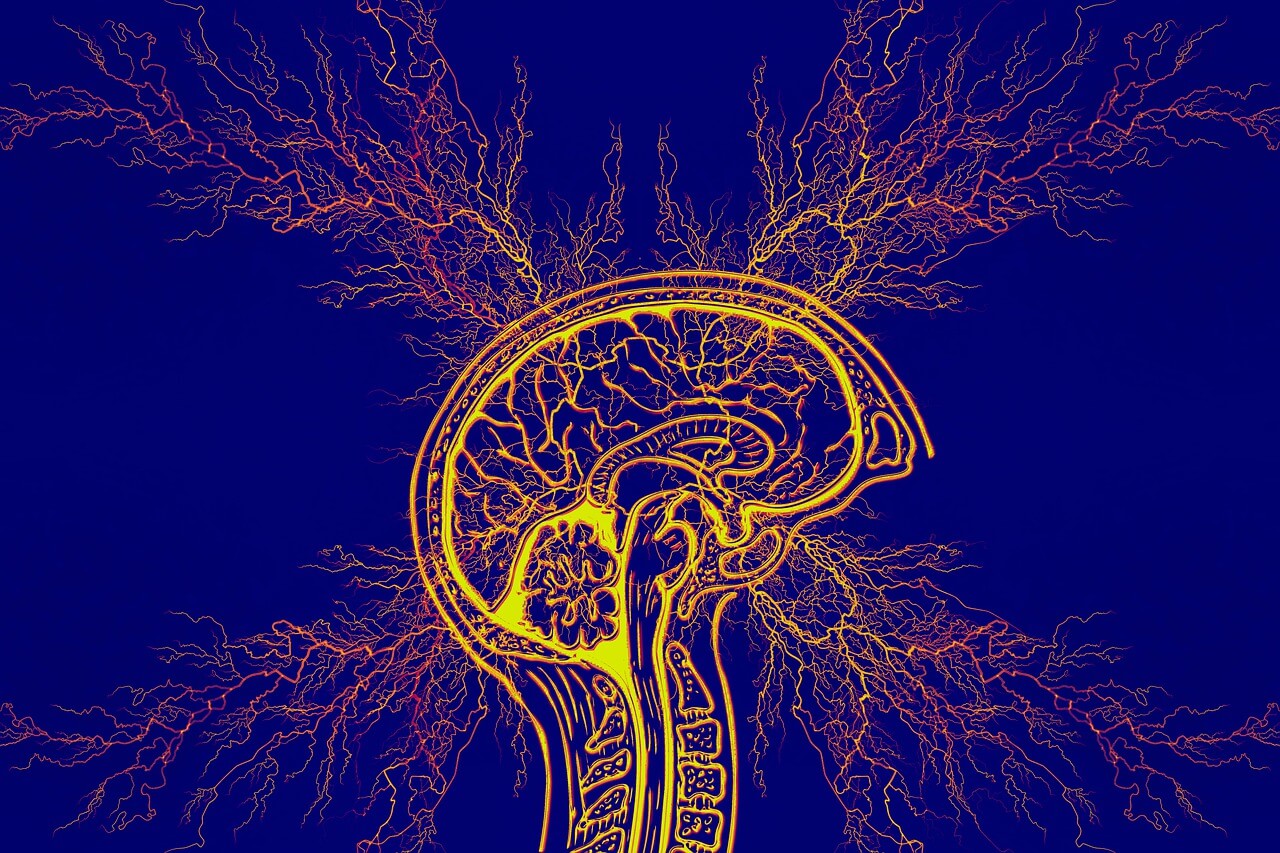 brain with tourette syndrome, epilepsy, adhd