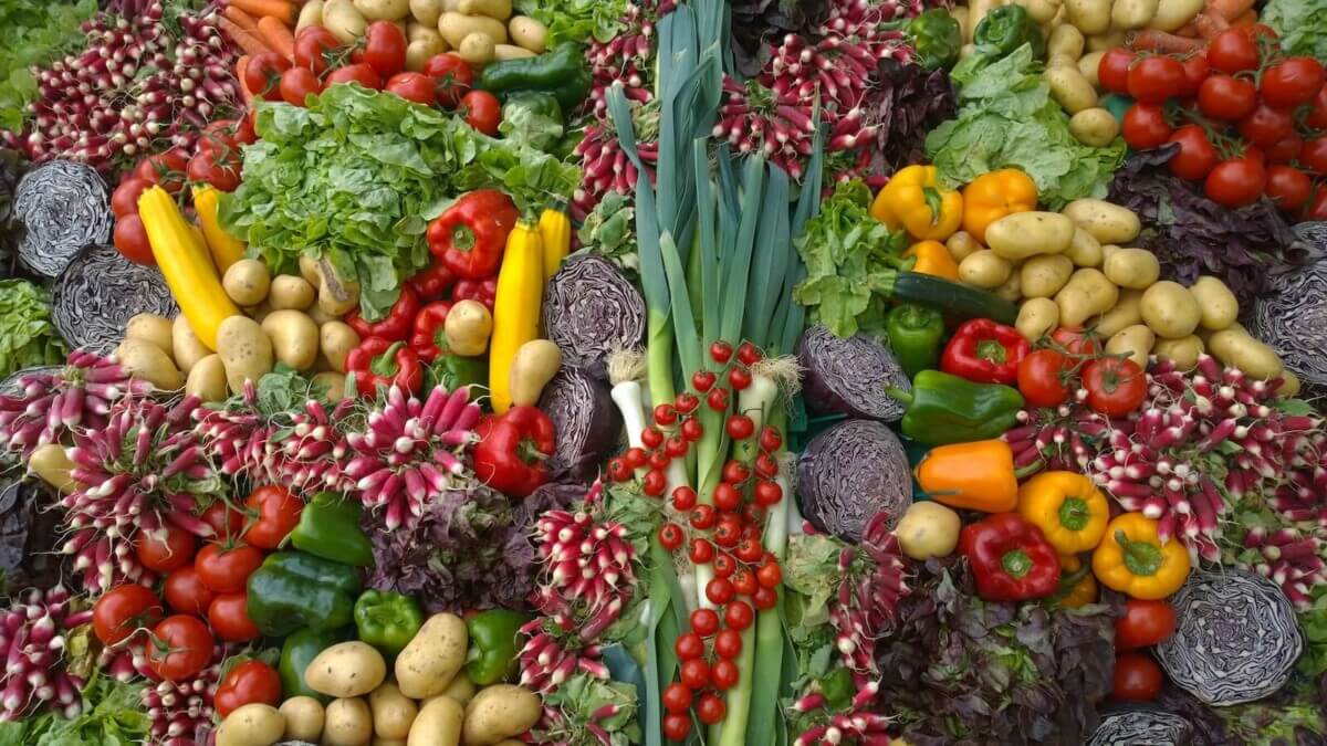 Variety of vegetables