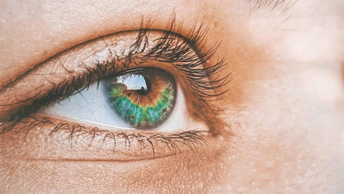 Close up of woman’s eye and eyelashes