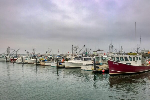 Provincetown harbor in Massachusetts