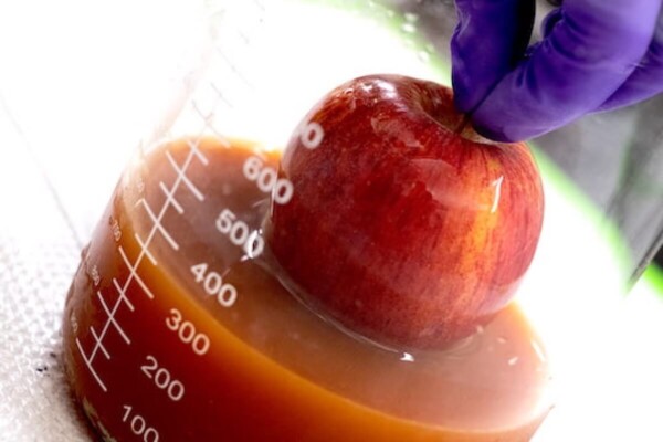 Food coating using protein helps preserve fruit and vegetables.
