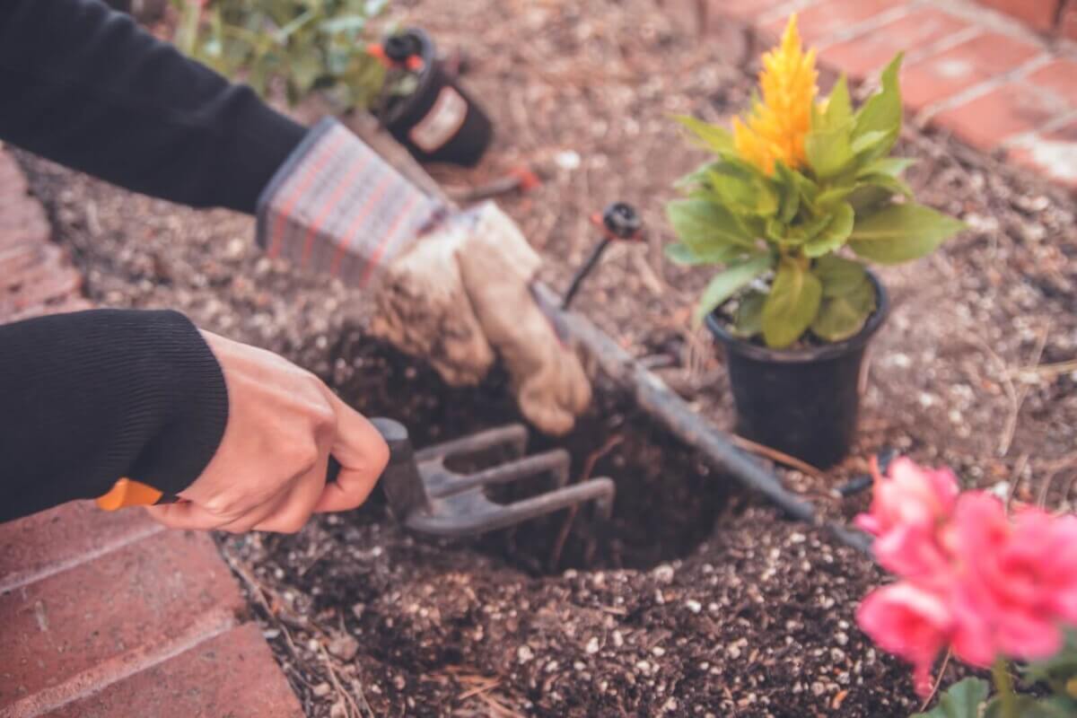 gardening gloves
