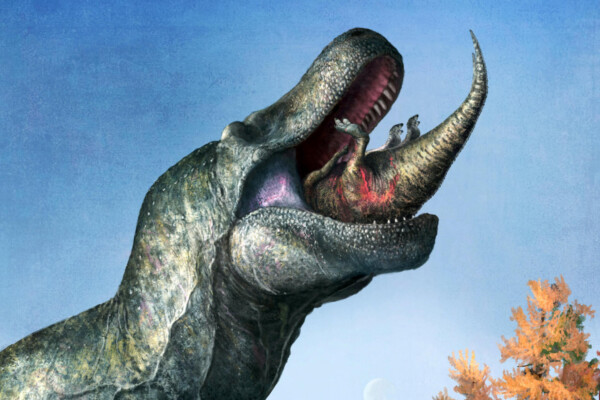 Illustration of a T-rex eating another dinosaur