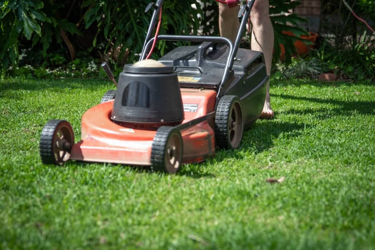 lawnmower on grass
