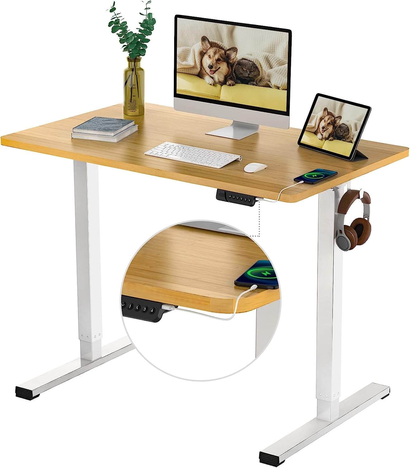 FLEXISPOT Standing Desk