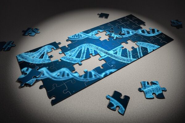 puzzle, dna, research