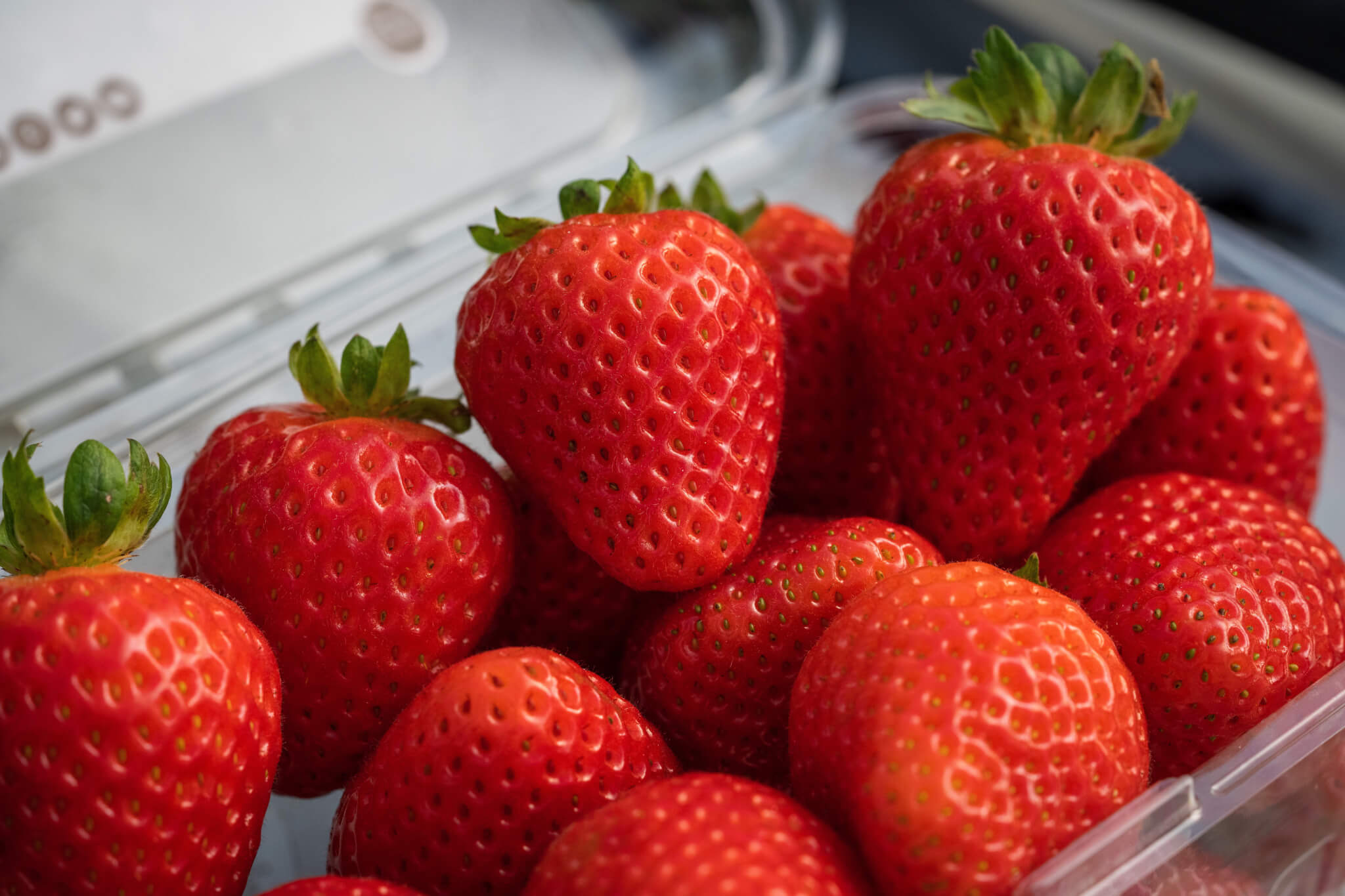 UC Eclipse strawberries grown in Santa Maria, CA.