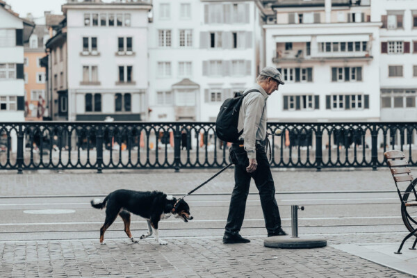 Elderly Man Walking a Dog