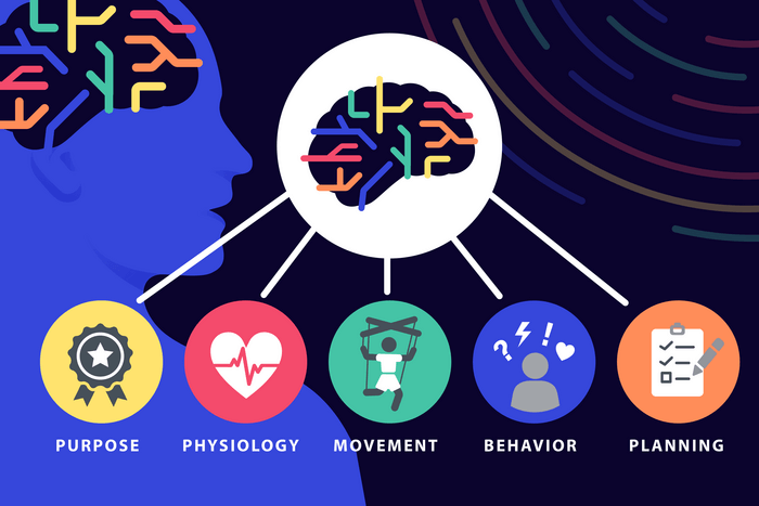 Graphic explaining the mind-body connection