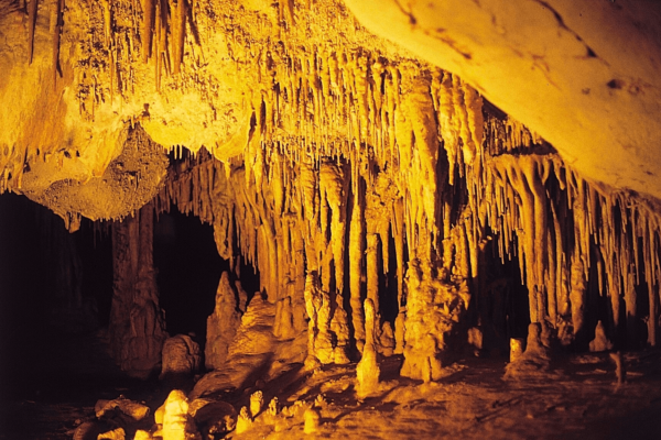 Es Càrritx cave