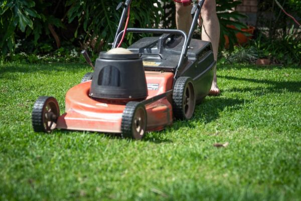 red lawnmower on green grass being pushed