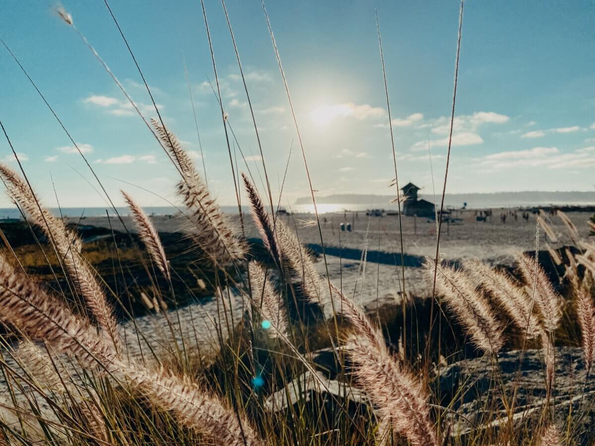 Coronado Beach, California 