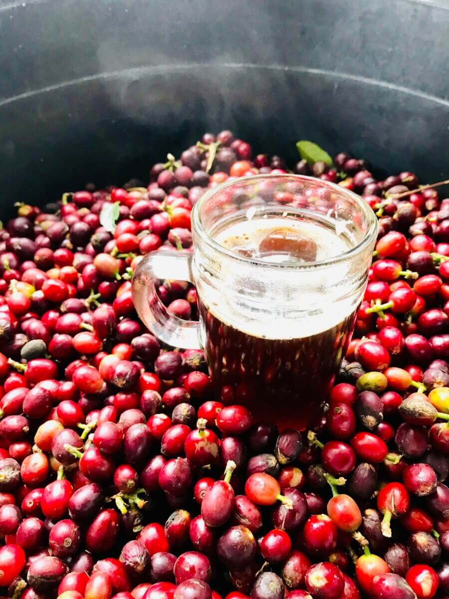 cranberry juice