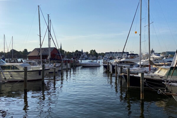 Annapolis's harbor