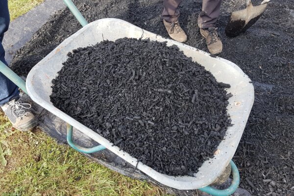 Biochar in a wheelbarrow