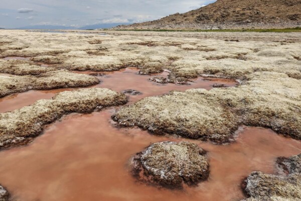 Great Salt Lake shows dramatically dropping water levels and exposure and bleaching of microbialite reefs.