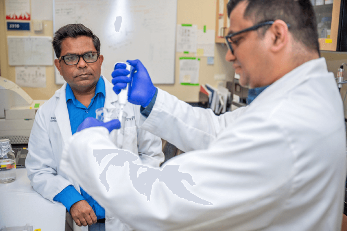 Augusta University scientists Sadanand Fulzele and Sagar Vyavahare