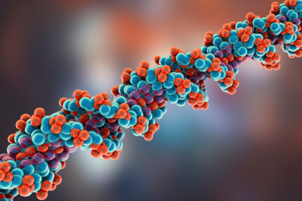 Molecular model of DNA. Double helix of DNA made of atoms. 3D illustration