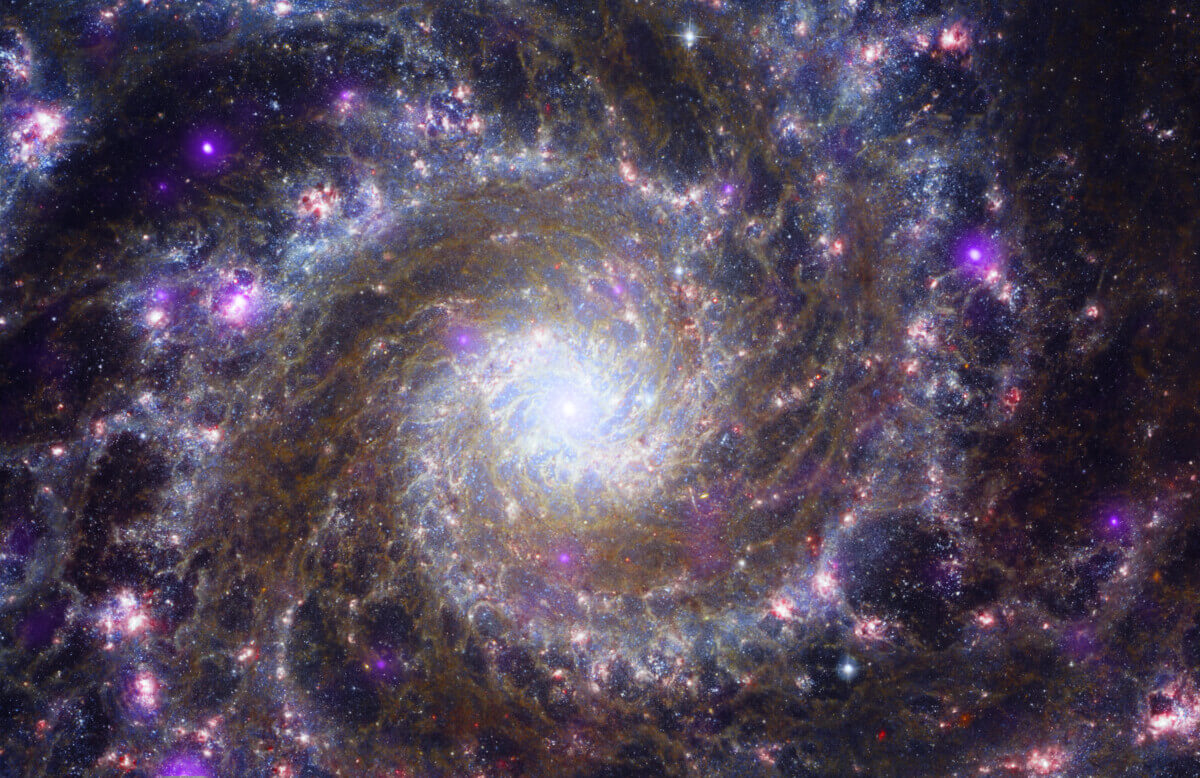 JWST Phantom Galaxy