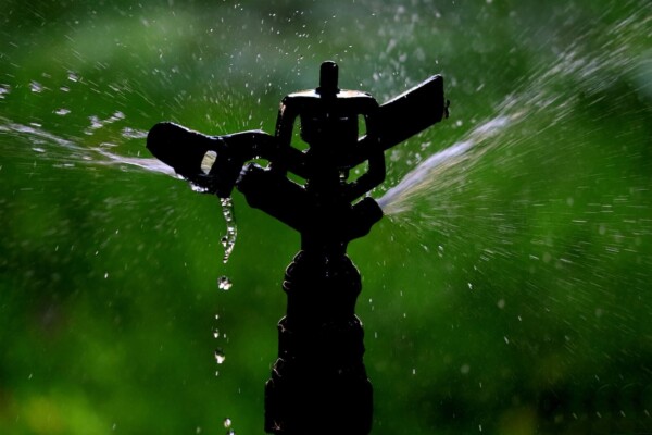 Lawn sprinkler