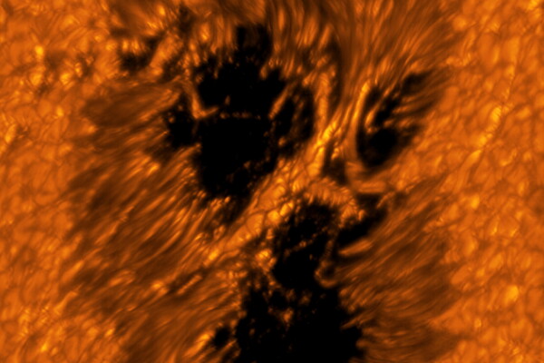 A light bridge is seen crossing a sunspot’s umbra from one end of the penumbra to the other