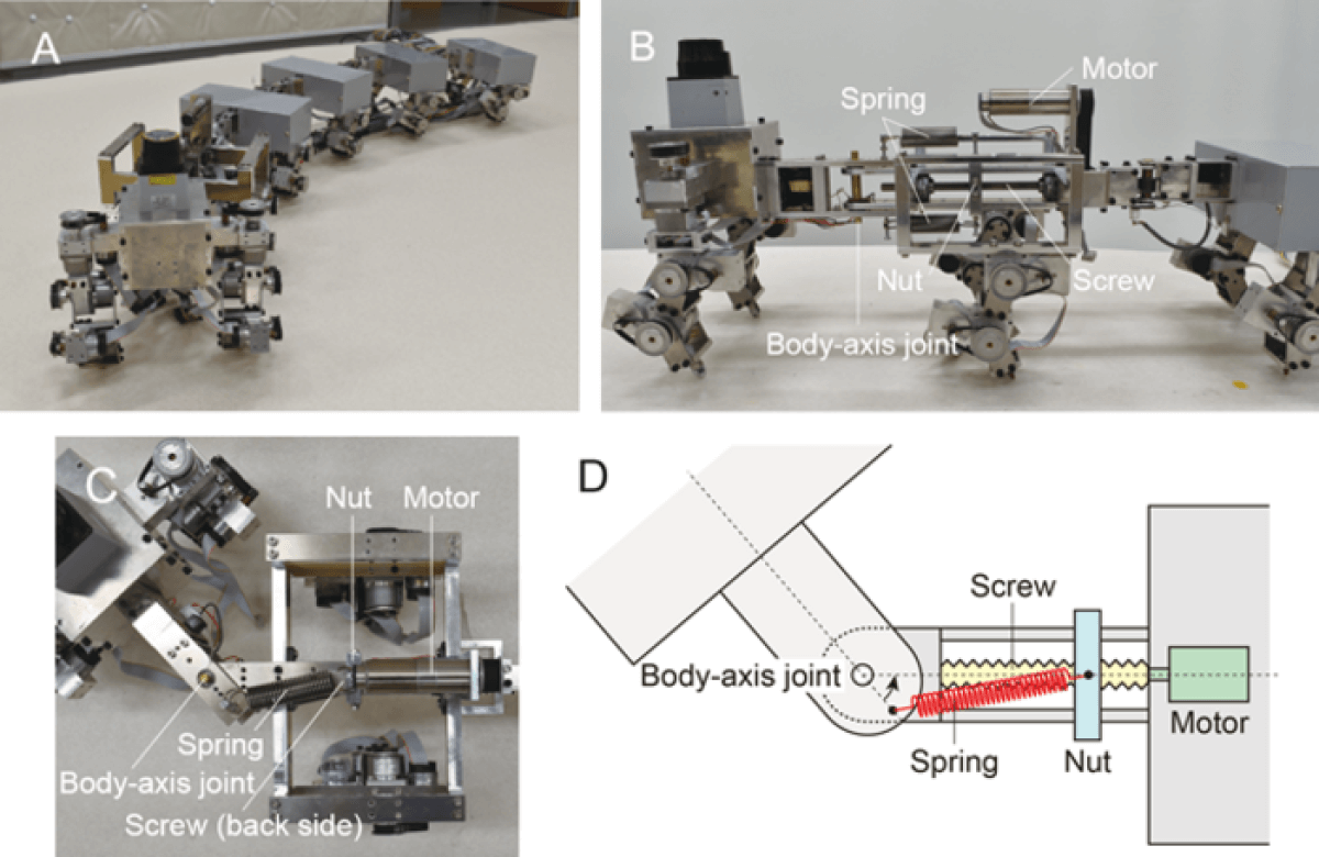 robot centipede diagram